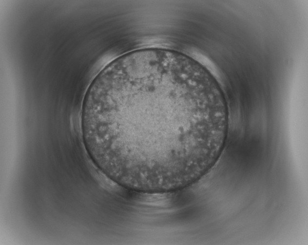 X0000113551338200909251030