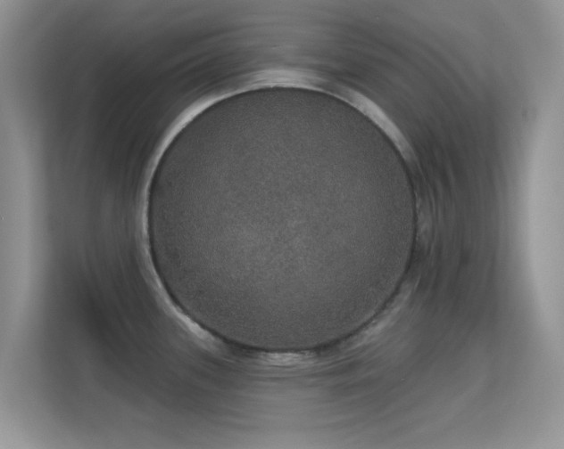 X0000113551339200909251030