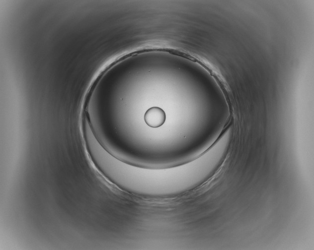 X0000113551342200909251030