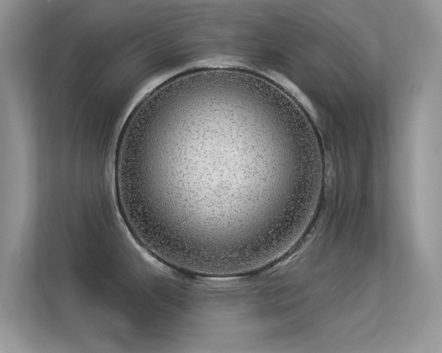 X0000113551343200909251030