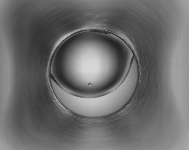 X0000113551344200909251030