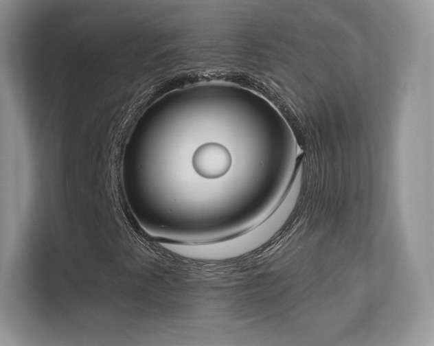 X0000113551345200909251029