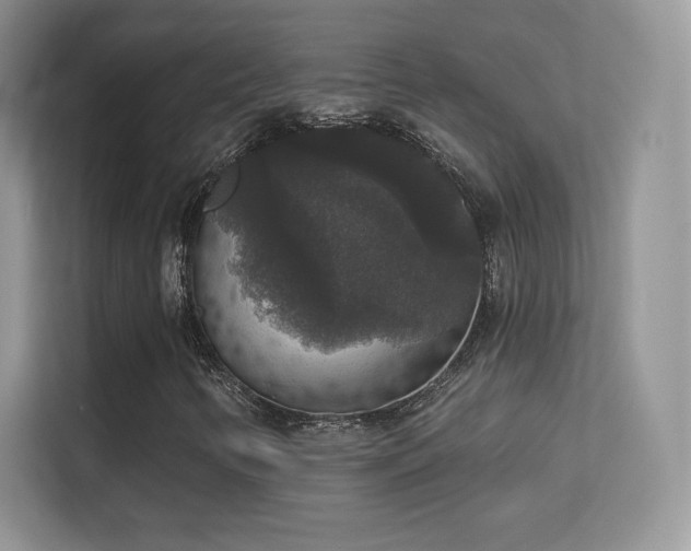 X0000113551346200909251029