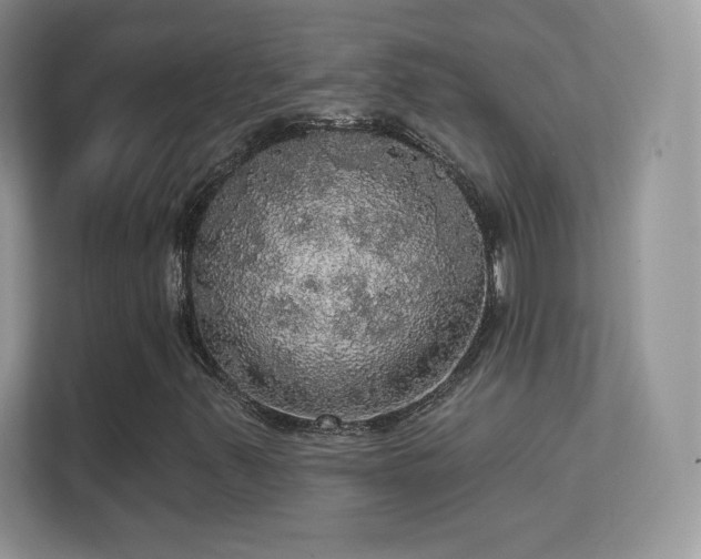 X0000113551347200909251029