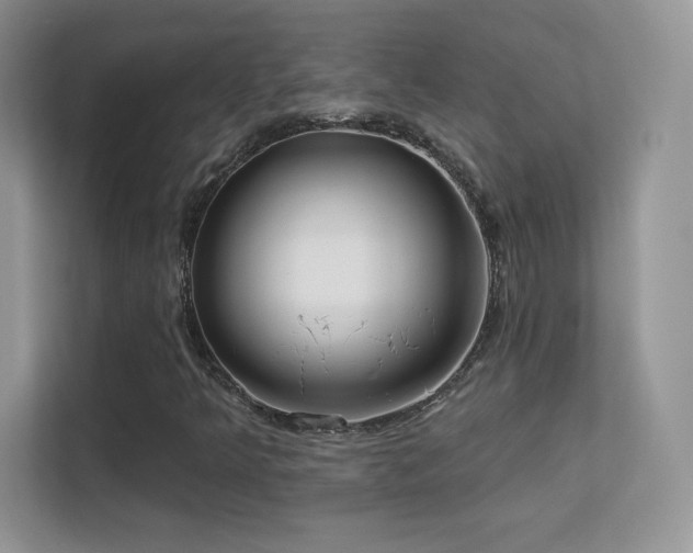 X0000113551349200909251029