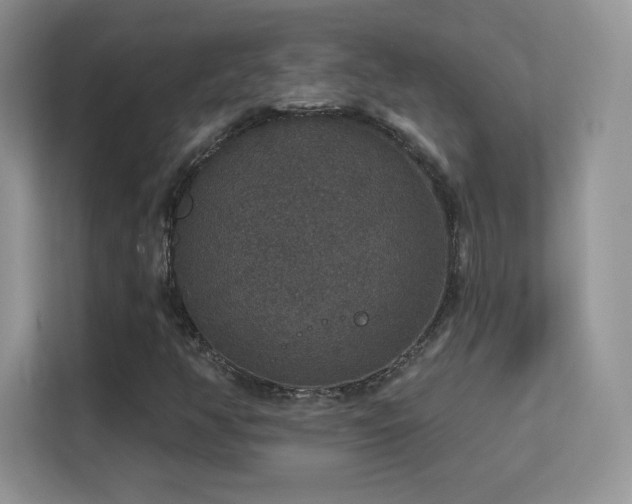 X0000113551350200909251029