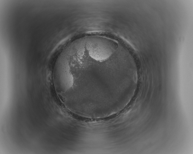 X0000113551351200909251029