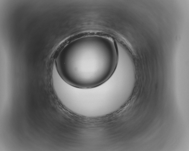 X0000113551352200909251029