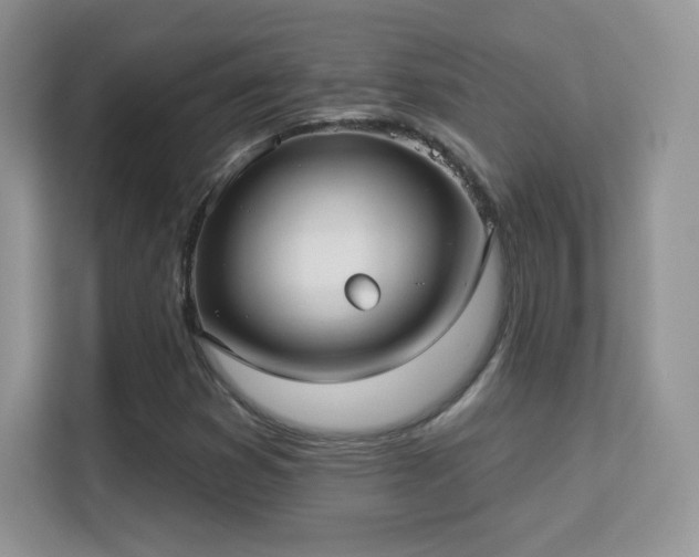 X0000113551353200909251029