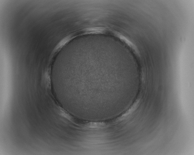 X0000113551354200909251029