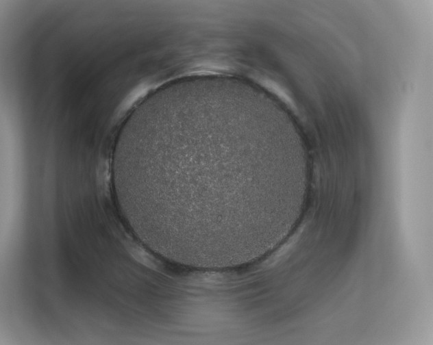 X0000113551355200909251029