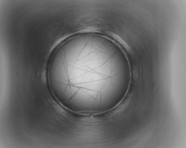 X0000113551356200909251029