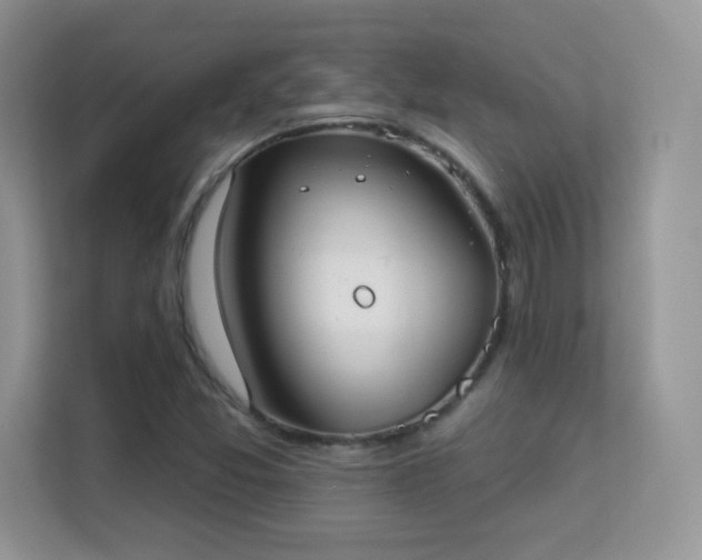 X0000113551357200909251029