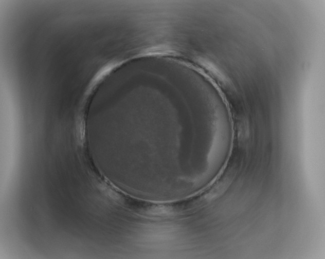 X0000113551358200909251029