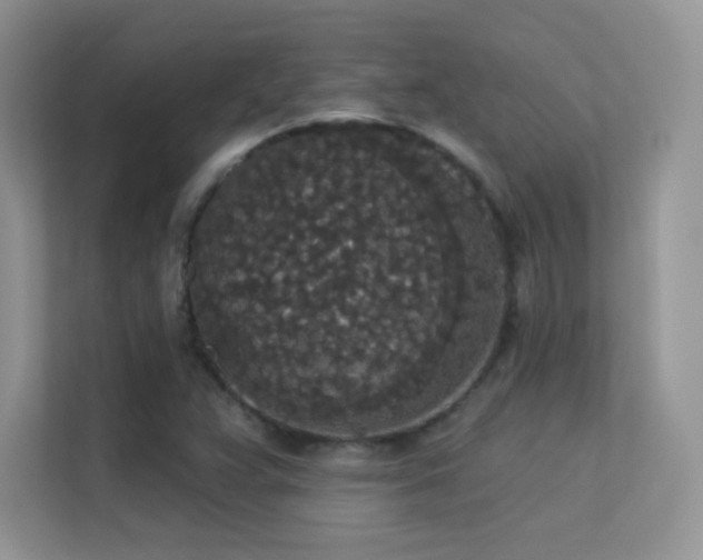 X0000113551359200909251029