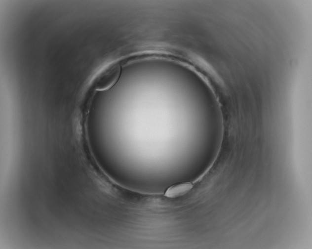 X0000113551360200909251029