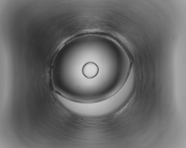 X0000113551361200909251029