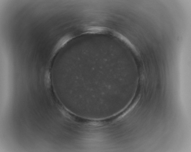 X0000113551362200909251029