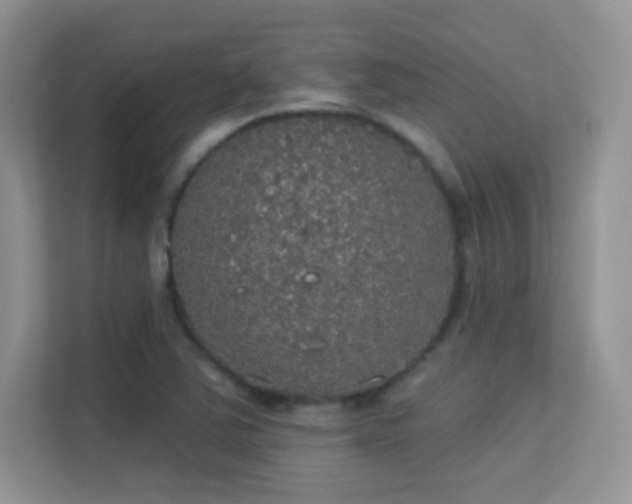 X0000113551363200909251029