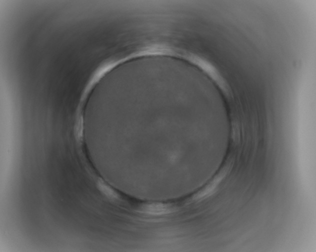 X0000113551366200909251029