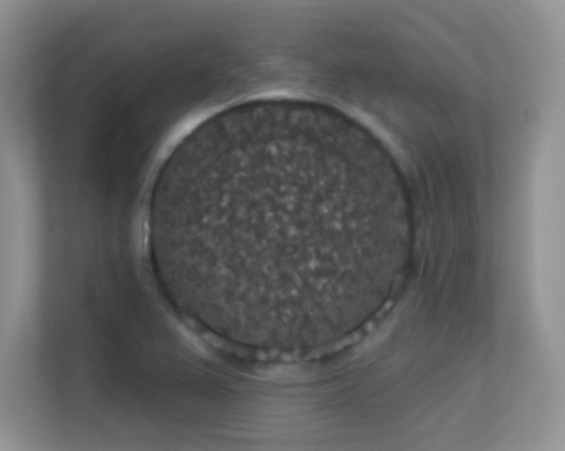 X0000113551367200909251029