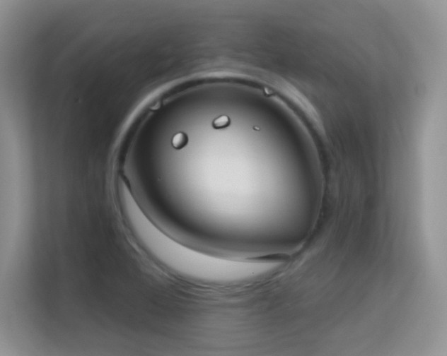 X0000113551368200909251029