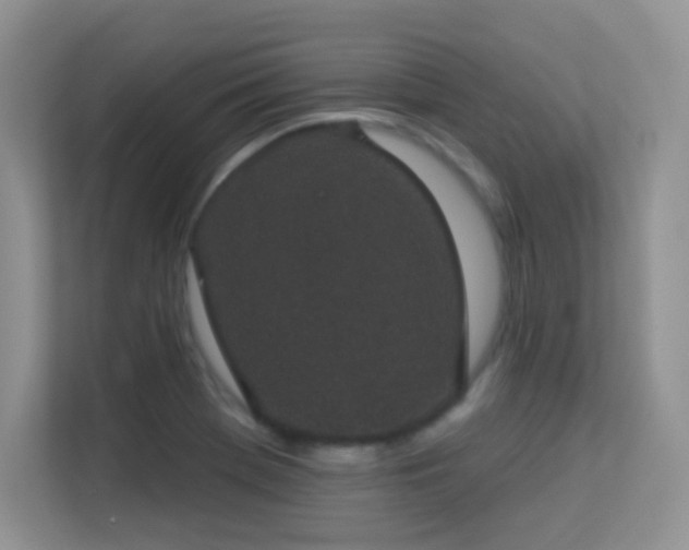 X0000113551369200909251029