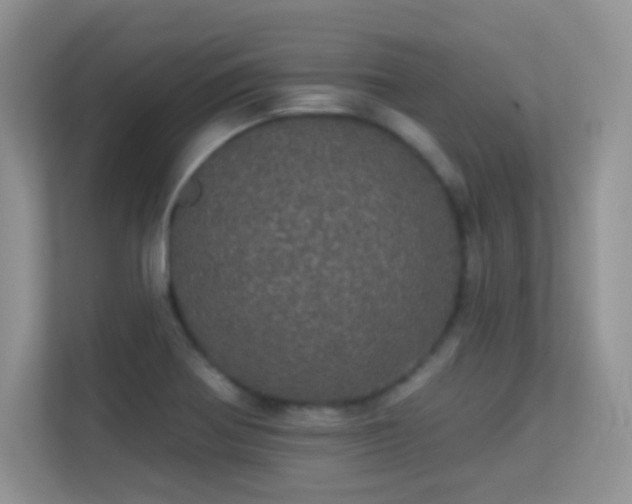 X0000113551370200909251029