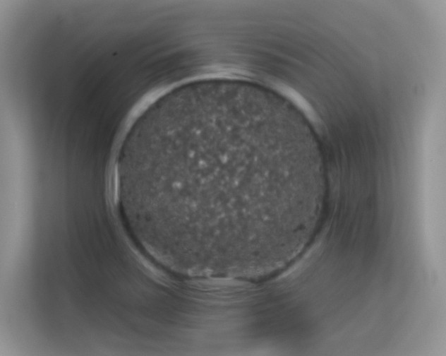 X0000113551371200909251029