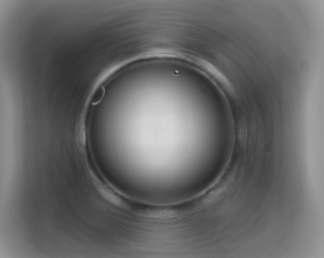 X0000113551372200909251029