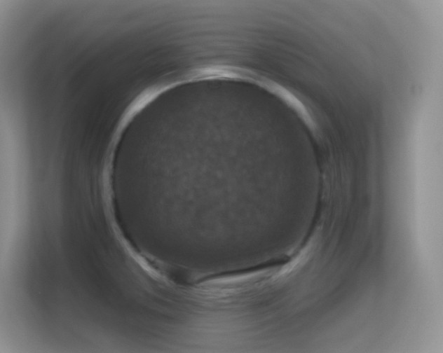 X0000113551373200909251029