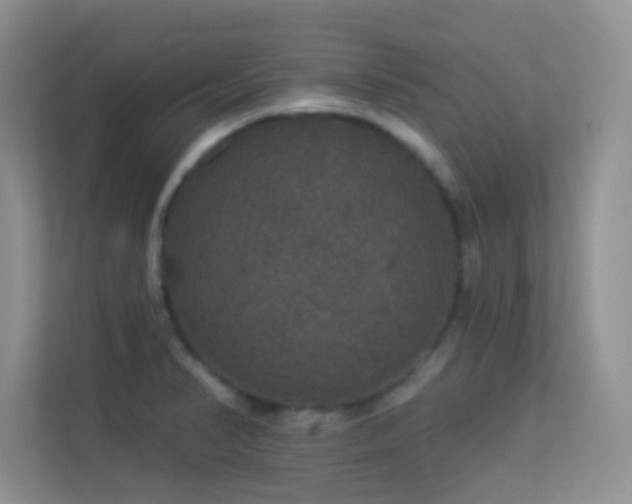 X0000113551374200909251029