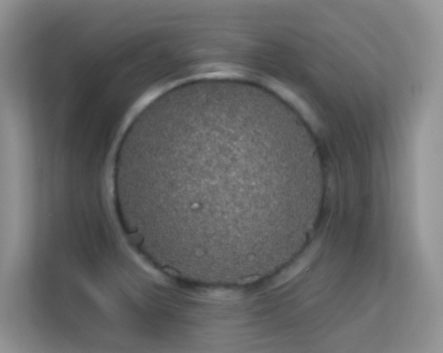 X0000113551375200909251029