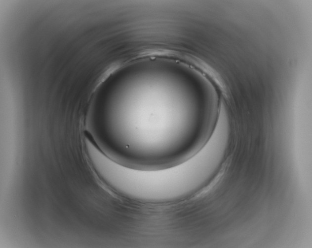 X0000113551377200909251029