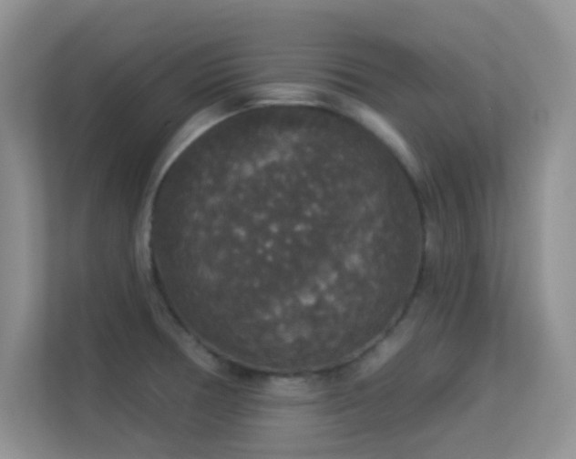 X0000113551378200909251029