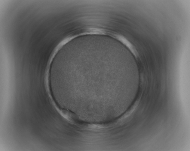 X0000113551379200909251029