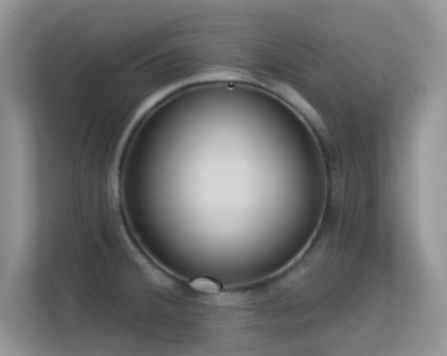 X0000113551380200909251029