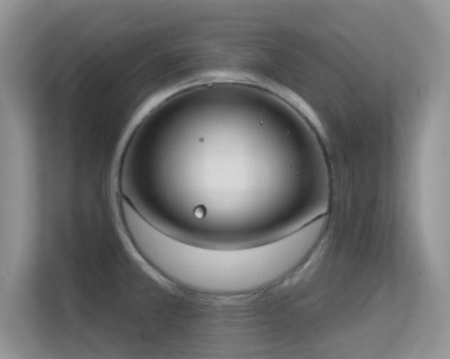 X0000113551381200909251029