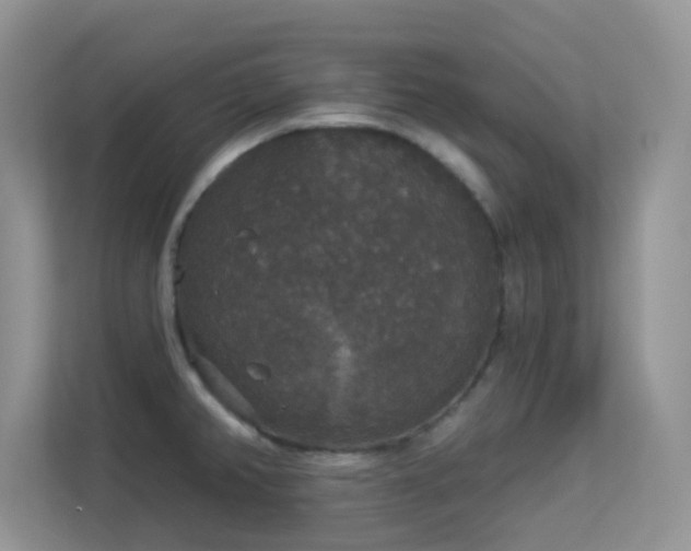 X0000113551382200909251029