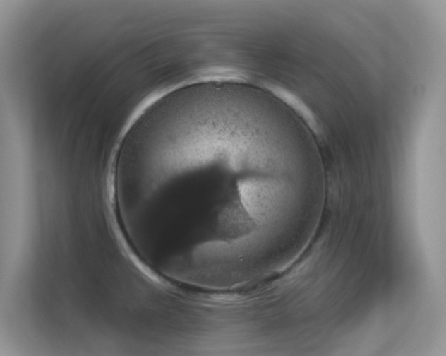 X0000113551383200909251029