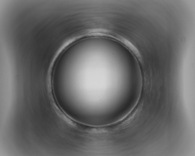 X0000113551384200909251029