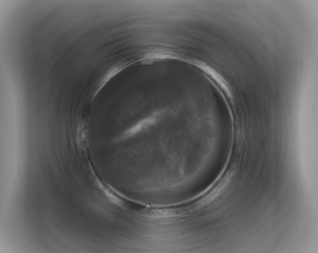 X0000113551385200909251029