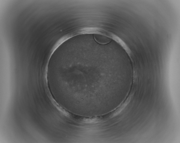 X0000113551386200909251029