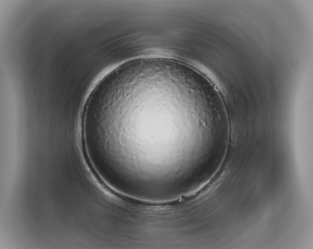 X0000113551387200909251029