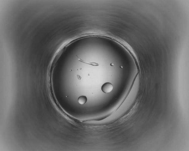 X0000113551389200909251029