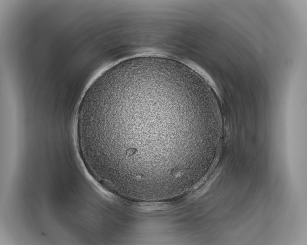 X0000113551391200909251029