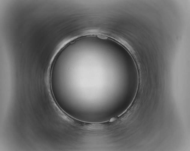 X0000113551392200909251029