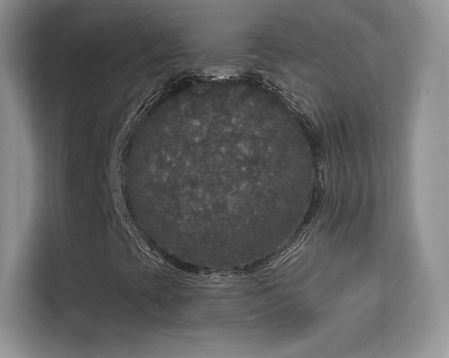 X0000113551393200909251028