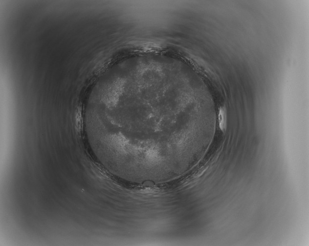 X0000113551395200909251028