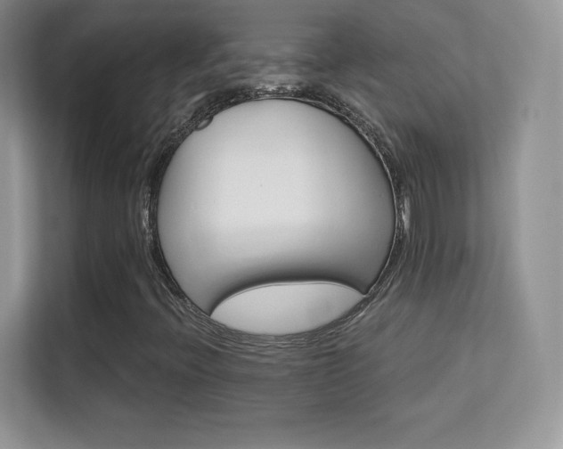 X0000113551396200909251028